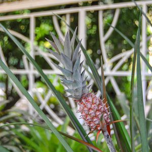 big size photo in the gallery