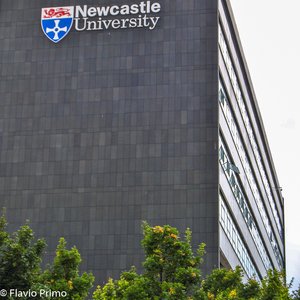 big size photo in the gallery