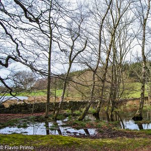 big size photo in the gallery