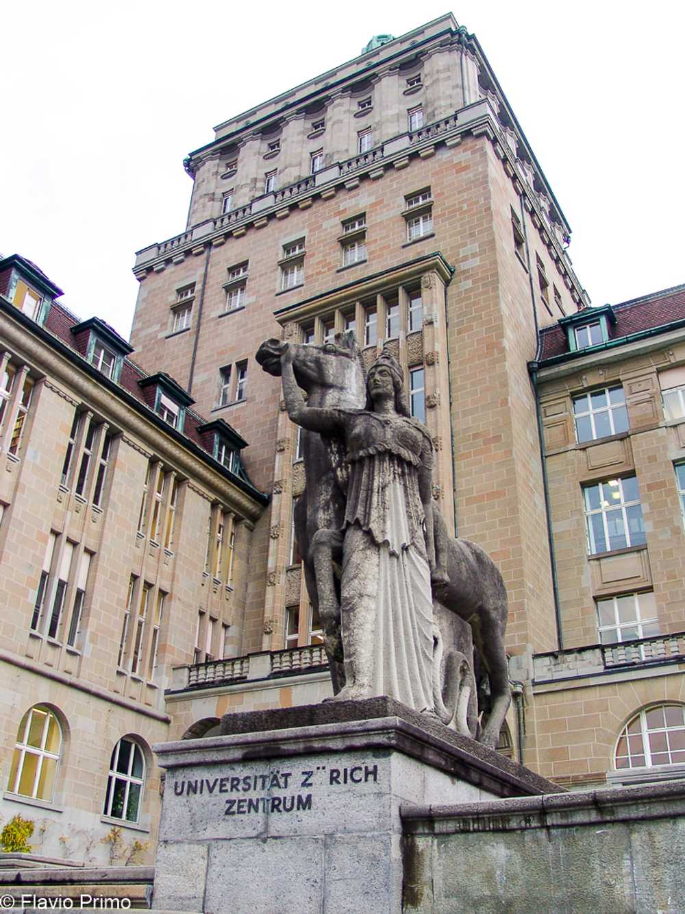 photo in the gallery