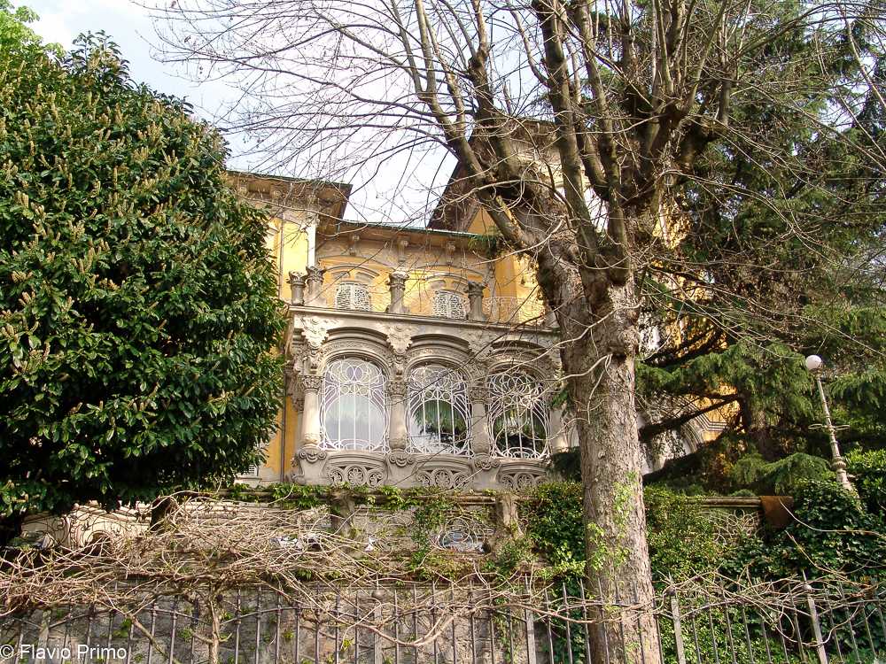 photo in the gallery