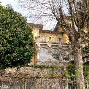 big size photo in the gallery