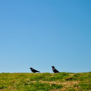 big size photo in the gallery