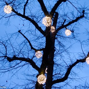 big size photo in the gallery