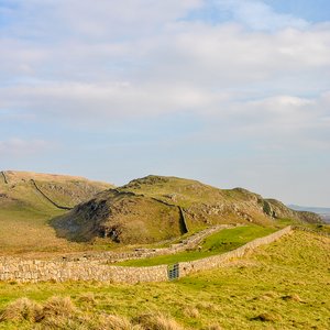 big size photo in the gallery