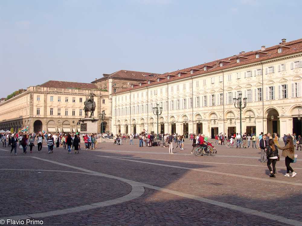 photo in the gallery