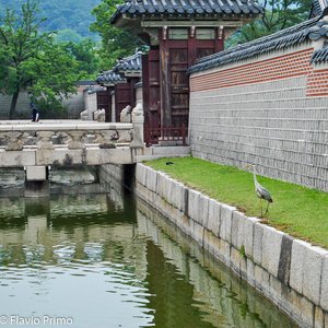 big size photo in the gallery