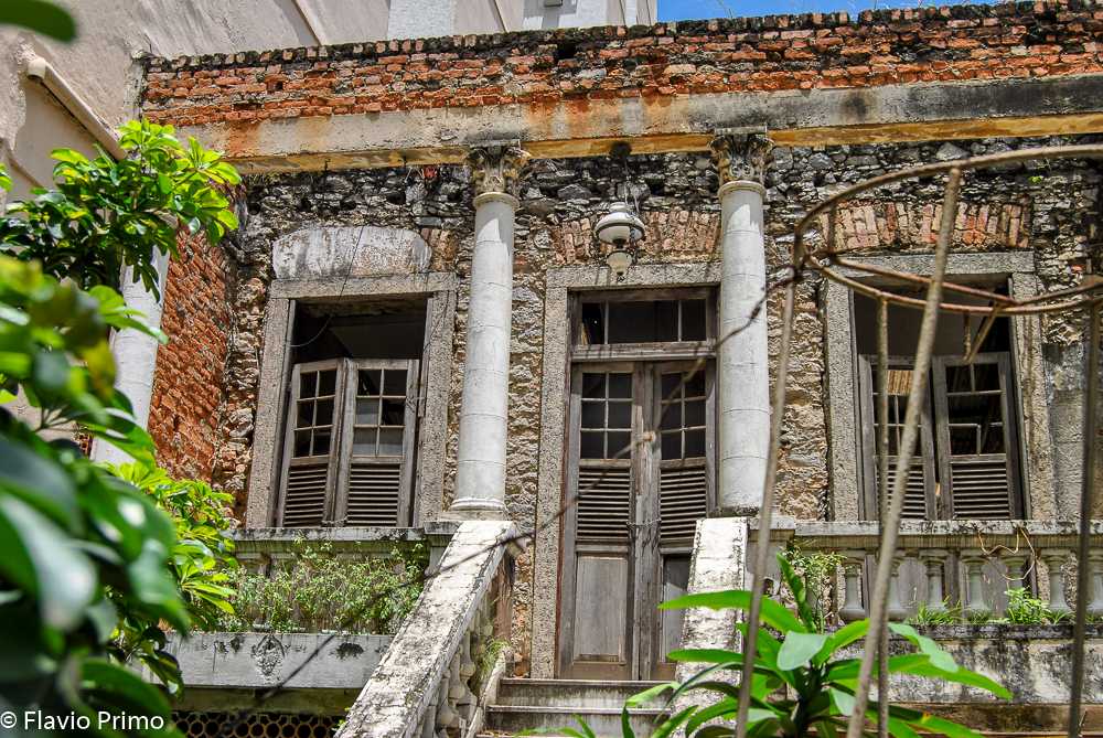 photo in the gallery