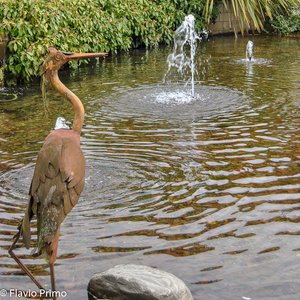 big size photo in the gallery