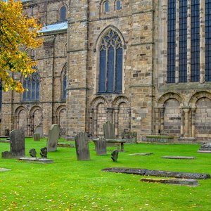 big size photo in the gallery