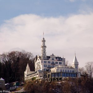 big size photo in the gallery