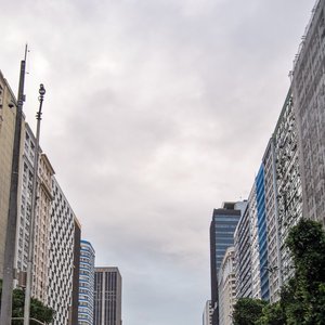 big size photo in the gallery