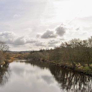 big size photo in the gallery