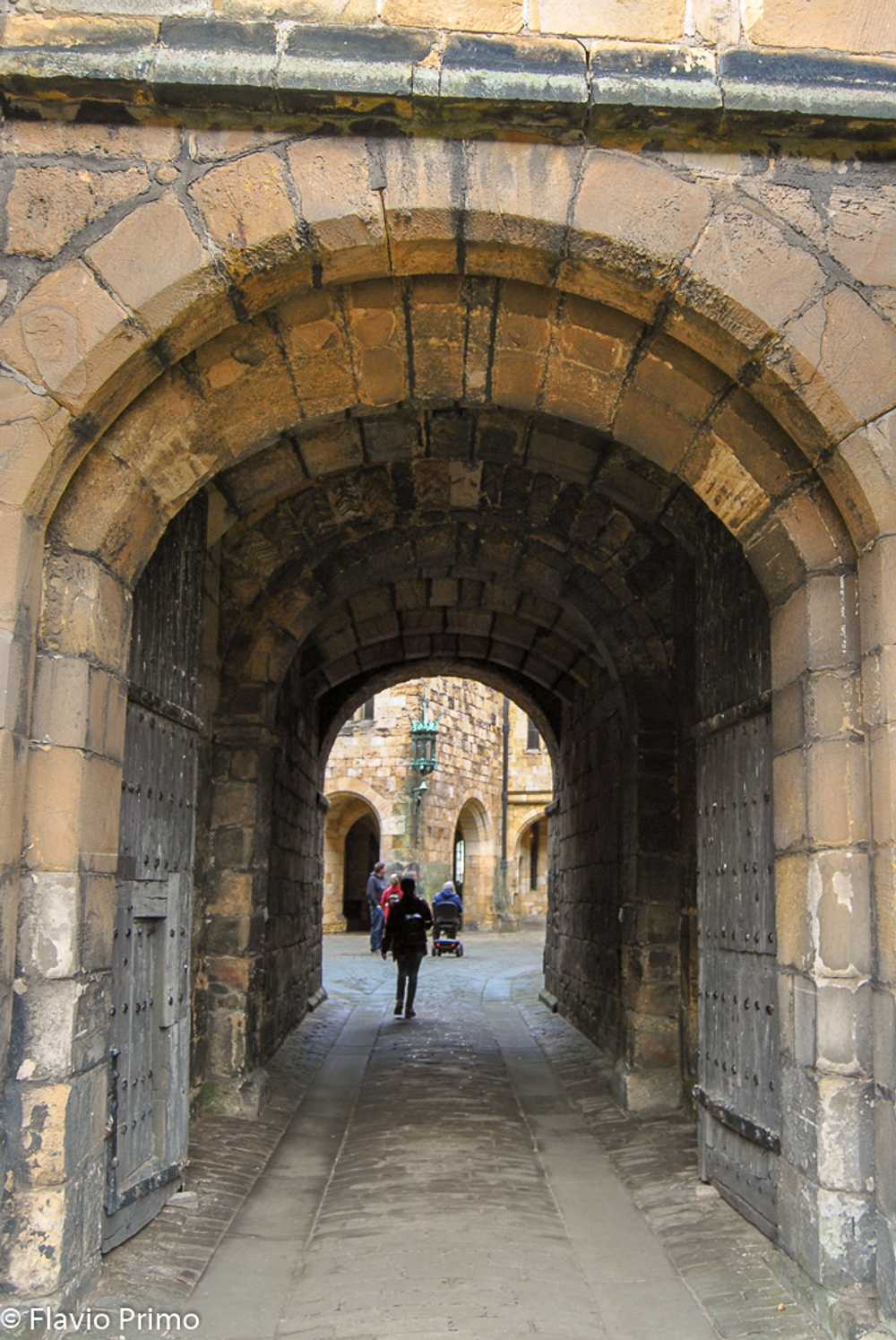 photo in the gallery