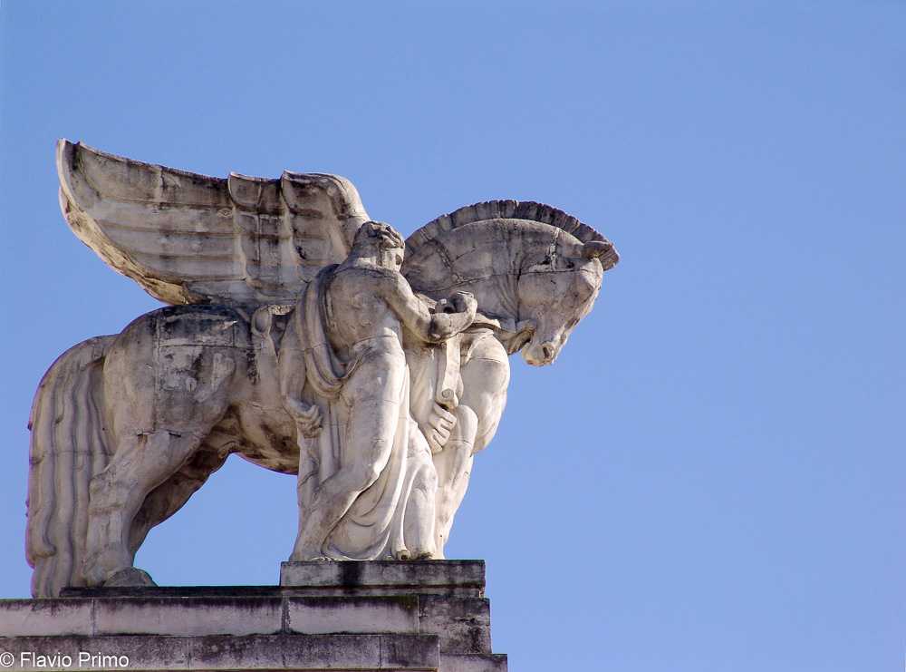 photo in the gallery