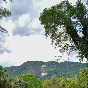 big size photo in the gallery