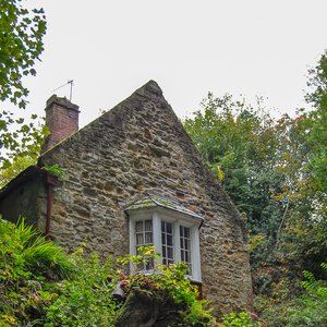 big size photo in the gallery