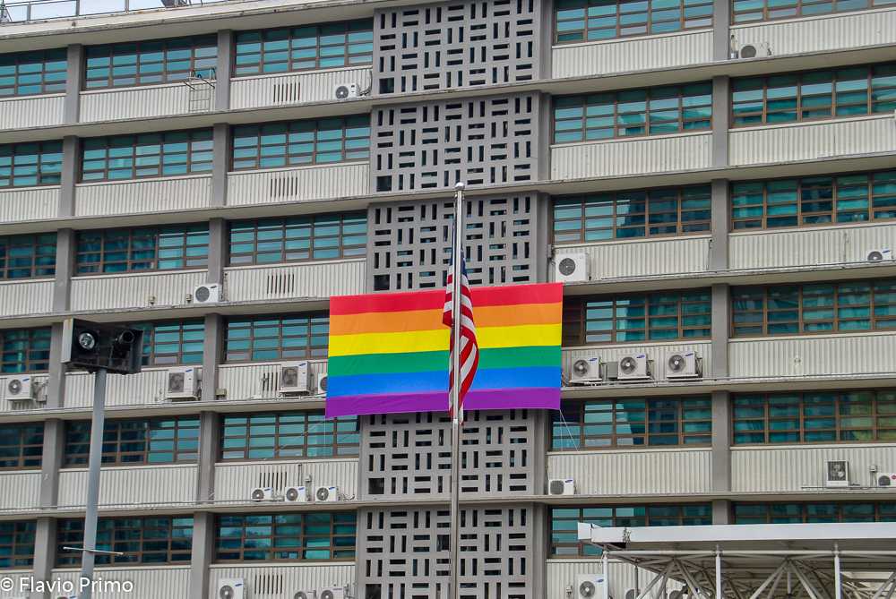 photo in the gallery