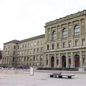 big size photo in the gallery