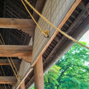 big size photo in the gallery