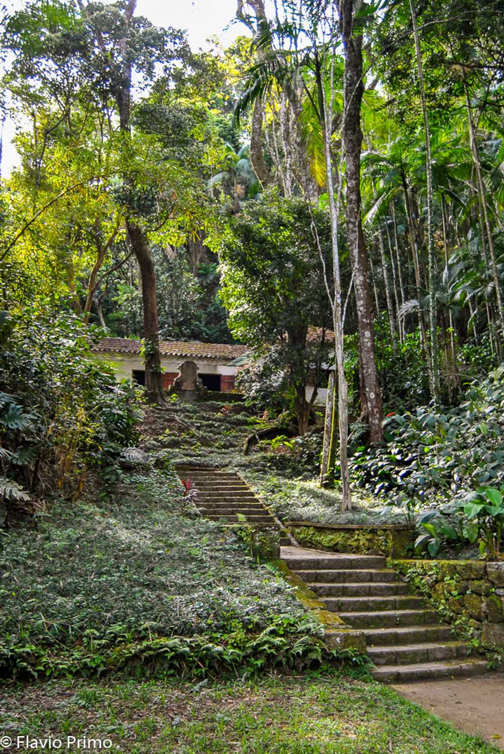 photo in the gallery