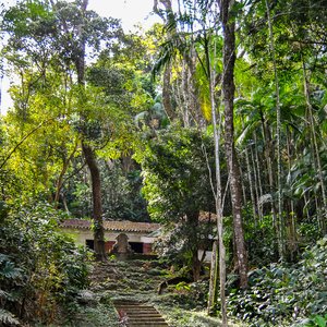 big size photo in the gallery