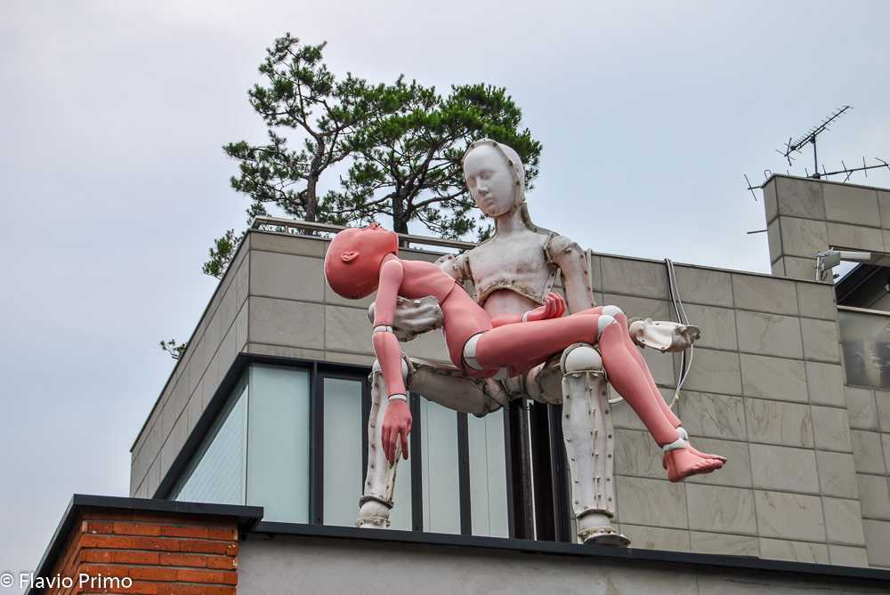 photo in the gallery