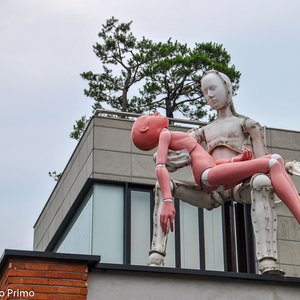 big size photo in the gallery