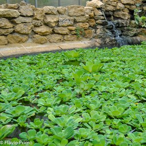 big size photo in the gallery