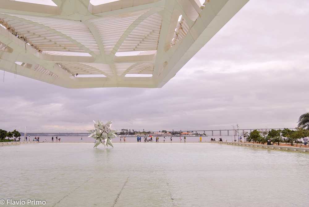 photo in the gallery