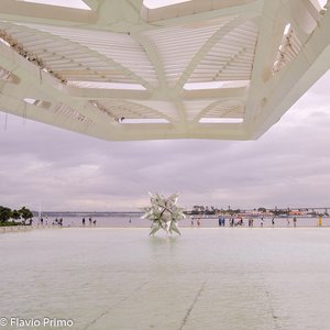 big size photo in the gallery