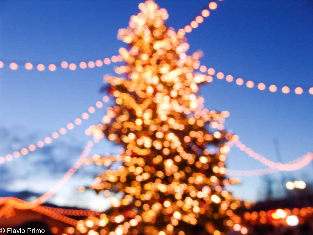 photo in the gallery