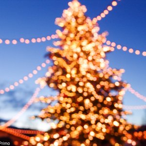 big size photo in the gallery