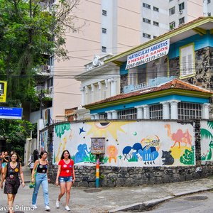 big size photo in the gallery