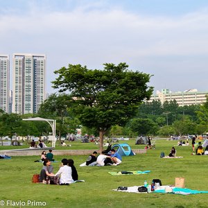 big size photo in the gallery