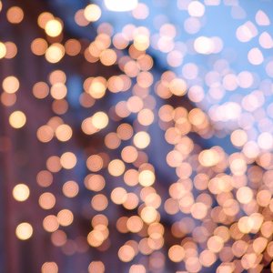 big size photo in the gallery