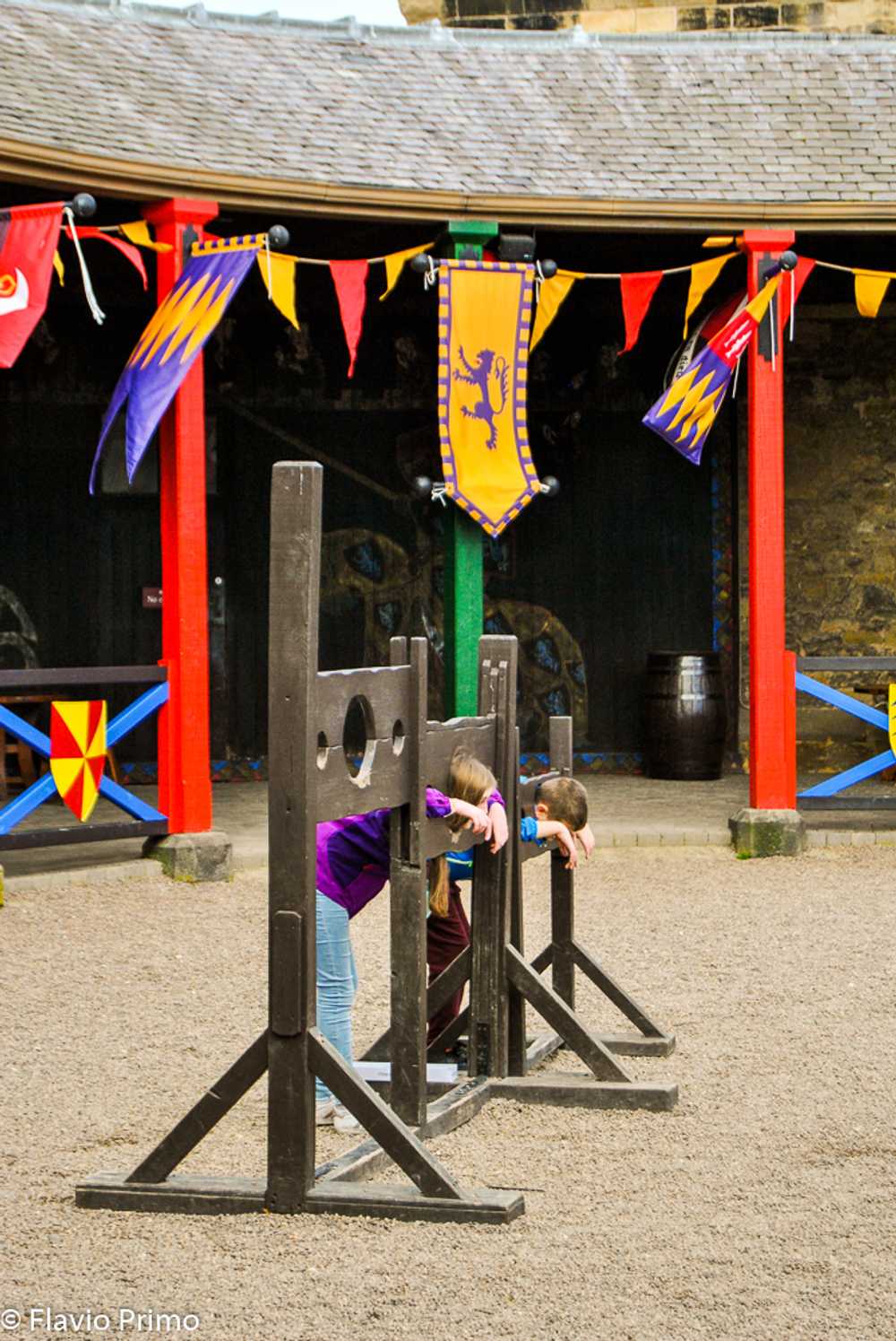 photo in the gallery