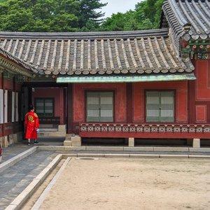 big size photo in the gallery