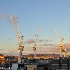 big size photo in the gallery