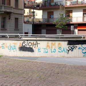 big size photo in the gallery