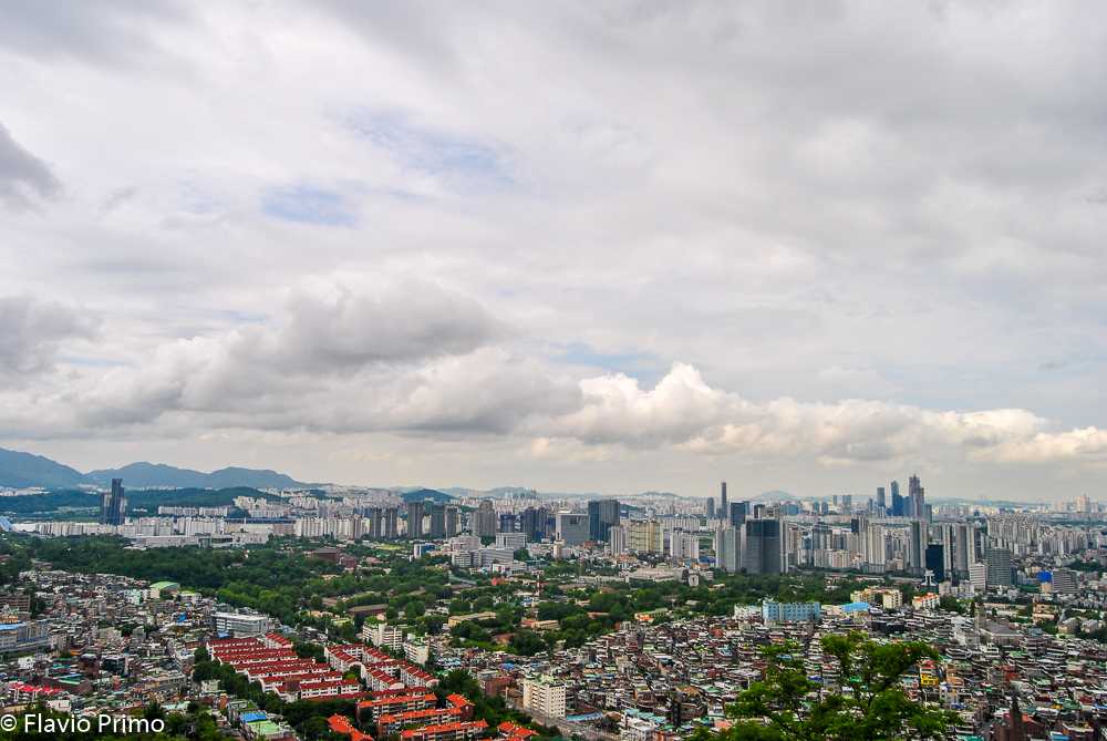 photo in the gallery