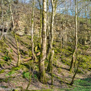 big size photo in the gallery