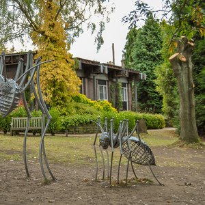 big size photo in the gallery