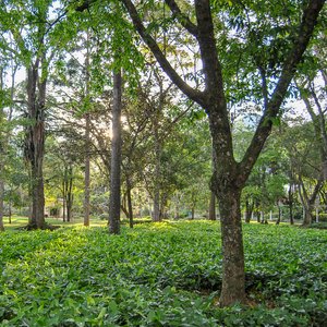 big size photo in the gallery