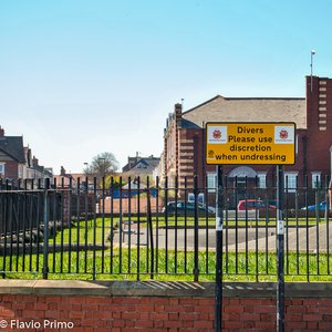 big size photo in the gallery