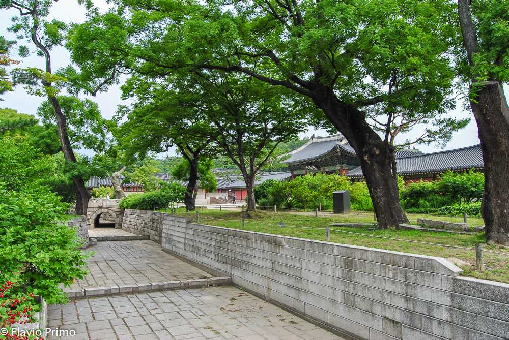 photo in the gallery