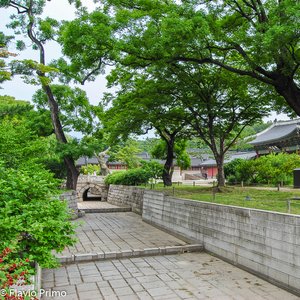 big size photo in the gallery