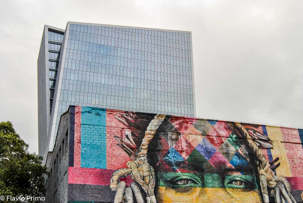 photo in the gallery