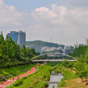 big size photo in the gallery