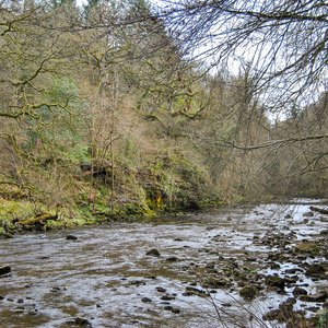 big size photo in the gallery